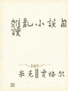 杂乱小说目录阅读