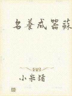 名养成器苏沫沫