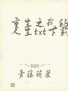 重生之我的书记人生txt下载