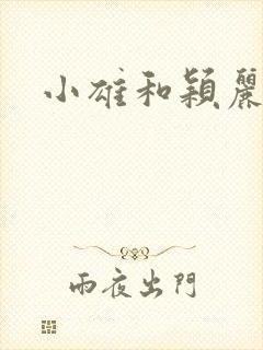 小雄和颖丽封面