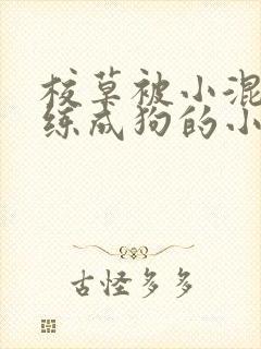 校草被小混混训练成狗的小说