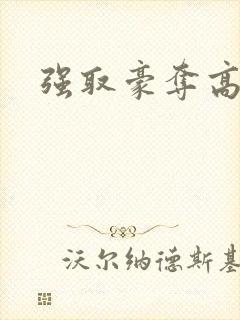 强取豪夺高干文