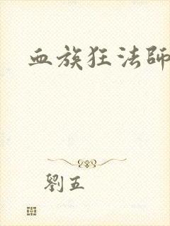 血族狂法师封面