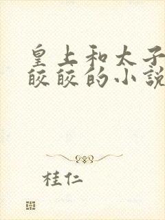 皇上和太子妃沈皎皎的小说免费封面