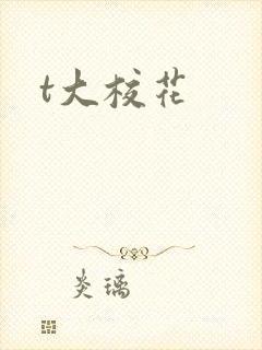 t大校花封面
