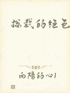 总裁的绝色宠妻封面