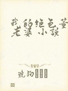 我的绝色董事长老婆 小说