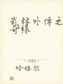 武林外传之同福奇缘封面