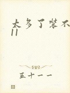 太多了装不下H11封面