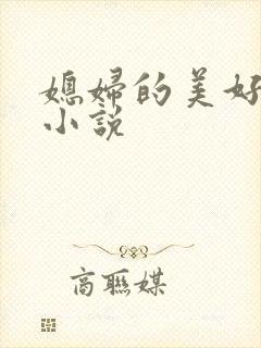 媳妇的美好时代小说