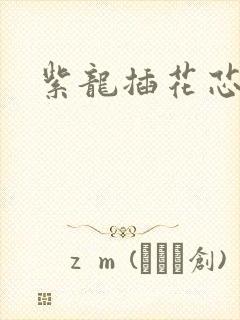 紫龙插花芯方正