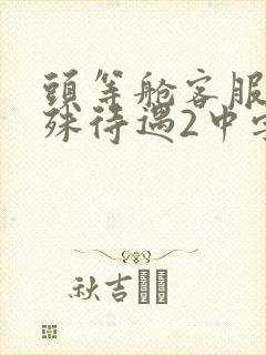 头等舱客服的特殊待遇2中字