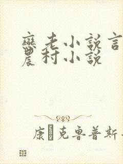 恋老小说言情网农村小说