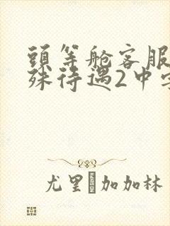 头等舱客服的特殊待遇2中字封面