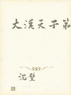 大汉天子第一部封面