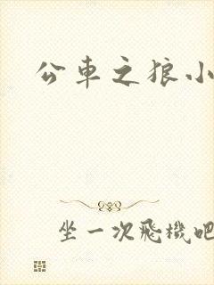 公车之狼小说