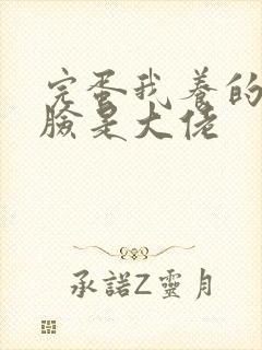 完蛋我养的小白脸是大佬封面