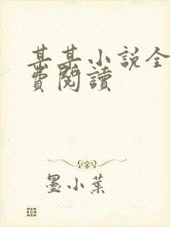 某某小说全文免费阅读