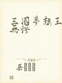 三国梦想王元姬无惨封面