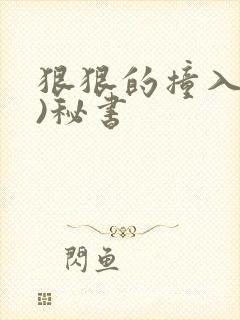 狠狠的撞入(h)秘书