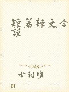 短篇辣文合集小说