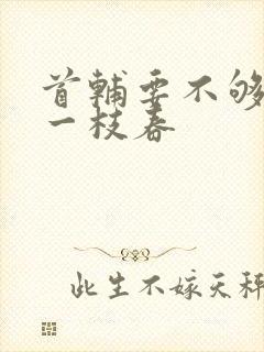 首辅要不够po一枝春