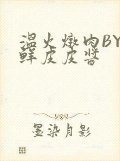 温火炖肉BY海鲜皮皮酱