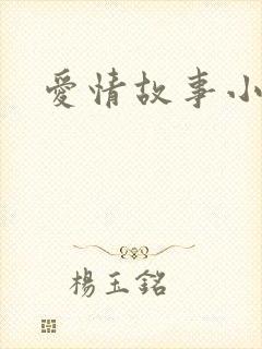 爱情故事小说