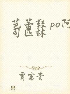 芭蕾鞋 po阿司匹林