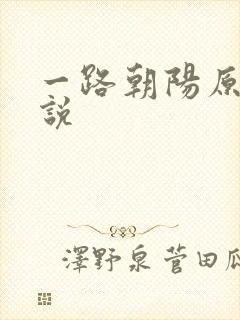 一路朝阳原著小说