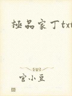 极品家丁txt