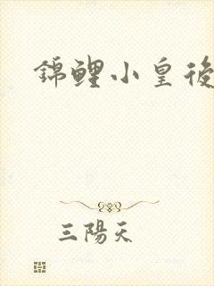 锦鲤小皇后封面