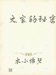 文家的秘密封面