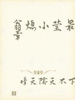 翁熄小莹最新节章