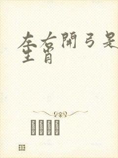 左右开弓是什么生肖封面