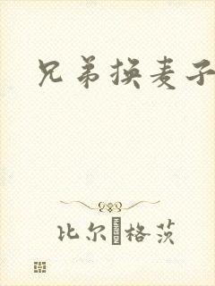 兄弟换麦子4封面