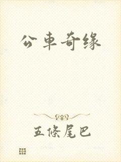 公车奇缘