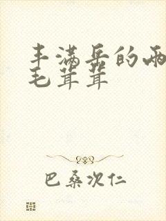 丰满岳的两腿间毛茸茸封面