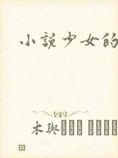 小说少女的心