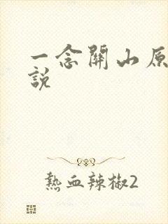 一念关山原著小说