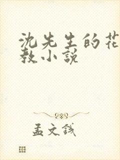 沈先生的花式管教小说