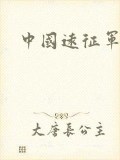 中国远征军小说