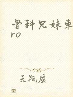 骨科兄妹车多pro