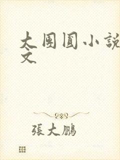 大团圆小说集全文封面