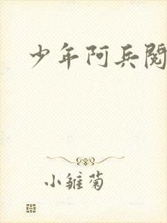 少年阿兵阅读