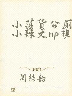 小荡货公厕h文小辣文np视频