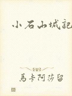 小石山城记封面
