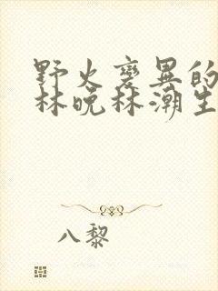 野火变异的父爱林晚林潮生