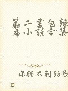 第二书包辣网短篇小说合集