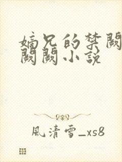 嫡兄的禁阙 华阙阙小说封面